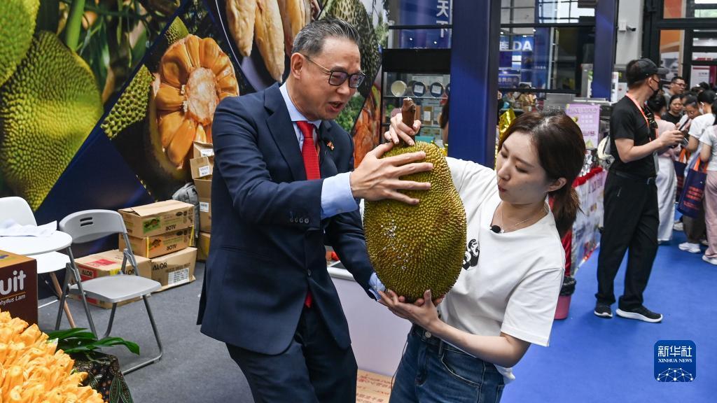 九星娱乐平台官方网